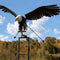 AeroBird | Elegant Metal Bird Wind Spinner Garden Ornament for Outdoor Decor
