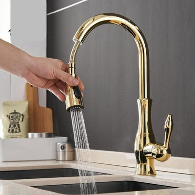 Anton | Elegant Stainless Steel Retractable Kitchen Faucet with Sprayer 7