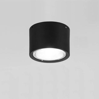 Flush Mount Ceiling Light | Modern Iron and Acrylic with Integrated LED | Ideal for Living Room or Bedroom