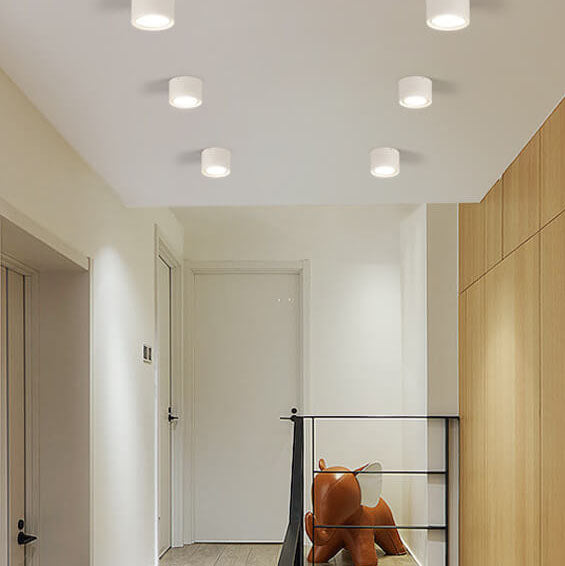 Flush Mount Ceiling Light | Modern Iron and Acrylic with Integrated LED | Ideal for Living Room or Bedroom 1