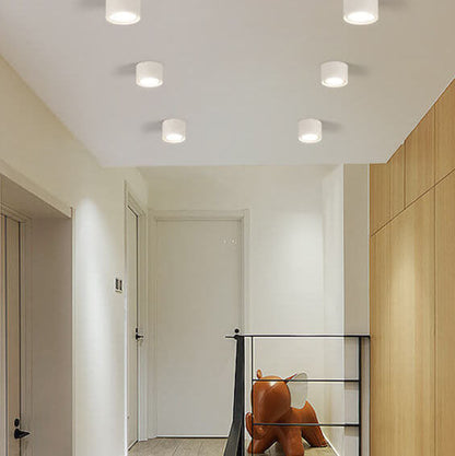 Flush Mount Ceiling Light | Modern Iron and Acrylic with Integrated LED | Ideal for Living Room or Bedroom 1