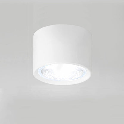 Flush Mount Ceiling Light | Modern Iron and Acrylic with Integrated LED | Ideal for Living Room or Bedroom 14