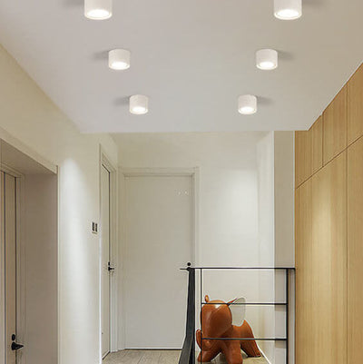 Flush Mount Ceiling Light | Modern Iron and Acrylic with Integrated LED | Ideal for Living Room or Bedroom 1