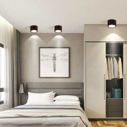 Flush Mount Ceiling Light | Modern Iron and Acrylic with Integrated LED | Ideal for Living Room or Bedroom 2