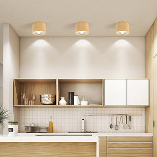 Flush Mount Ceiling Light | Modern Iron and Acrylic with Integrated LED | Ideal for Living Room or Bedroom