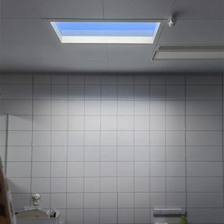 LED Flush Mount Ceiling Light | Metal Minimalist Design with Smart Control | Living Room & Bedroom