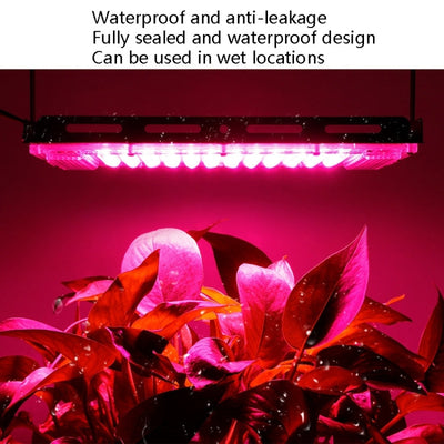 LumiGrow | Efficient Full Spectrum LED Grow Light for Indoor Plants 4