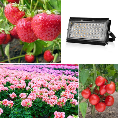 LumiGrow | Efficient Full Spectrum LED Grow Light for Indoor Plants 5