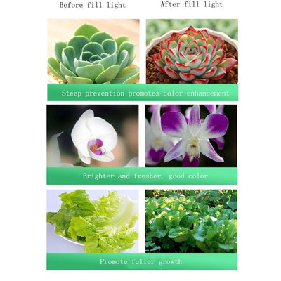 LuxeAura | Advanced Full Spectrum LED Grow Light for Indoor Plants 5