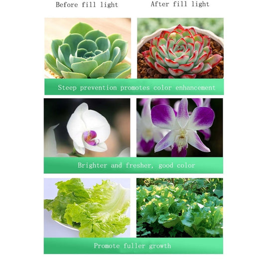 LuxeAura | Advanced Full Spectrum LED Grow Light for Indoor Plants 5