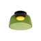 Modern Flush Mount Ceiling Light LED Glass Fixture for Living Room Dining Bedroom