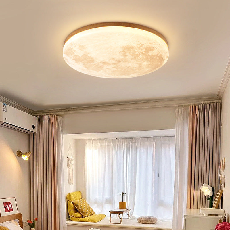 Modern LED Flush Mount Ceiling Light Minimalist Acrylic Fixture for Living Room Bedroom Hallway 2