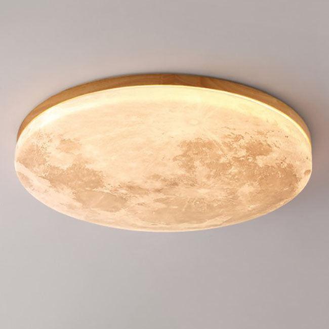 Modern LED Flush Mount Ceiling Light Minimalist Acrylic Fixture for Living Room Bedroom Hallway 5