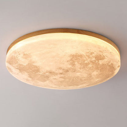 Modern LED Flush Mount Ceiling Light Minimalist Acrylic Fixture for Living Room Bedroom Hallway 5