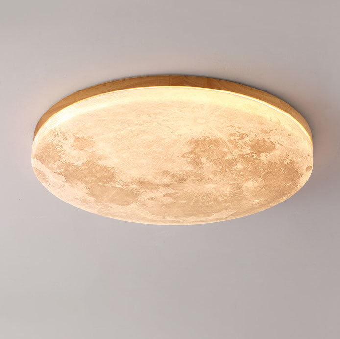 Modern LED Flush Mount Ceiling Light Minimalist Acrylic Fixture for Living Room Bedroom Hallway 6
