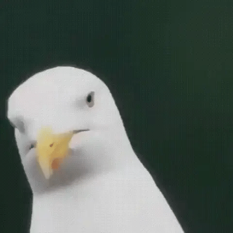 NexaCore | Monocular with 600x Ultra-Zoom and Multi-Coated HD Lens for Outdoor Adventures 2