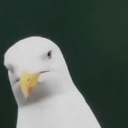 NexaCore | Monocular with 600x Ultra-Zoom and Multi-Coated HD Lens for Outdoor Adventures 2