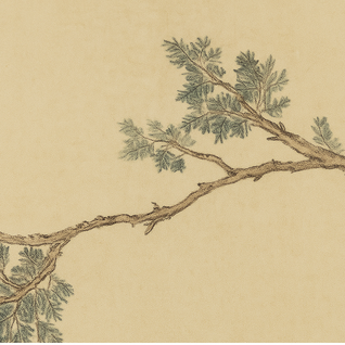 Room Divider Screen | French Style Floral and Bird Motif | Foldable Design | Living Room